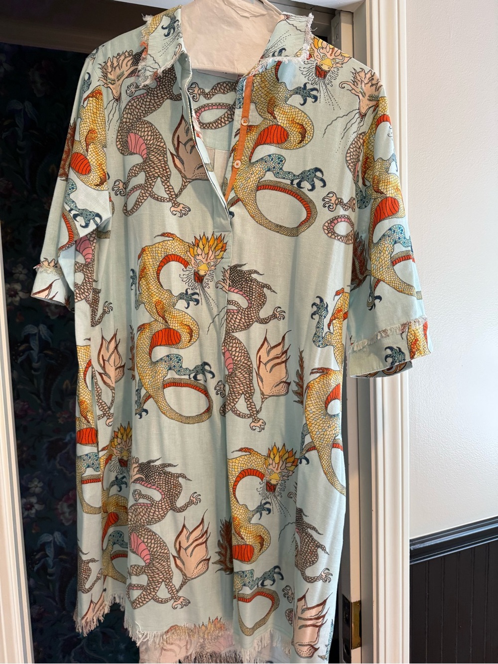 Linen/ Cotton Dizzy Lizzy  Blue Dragon Print Shirt Dress - Women's